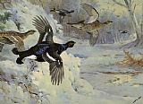 Through the Snowy Coverts by Archibald Thorburn
